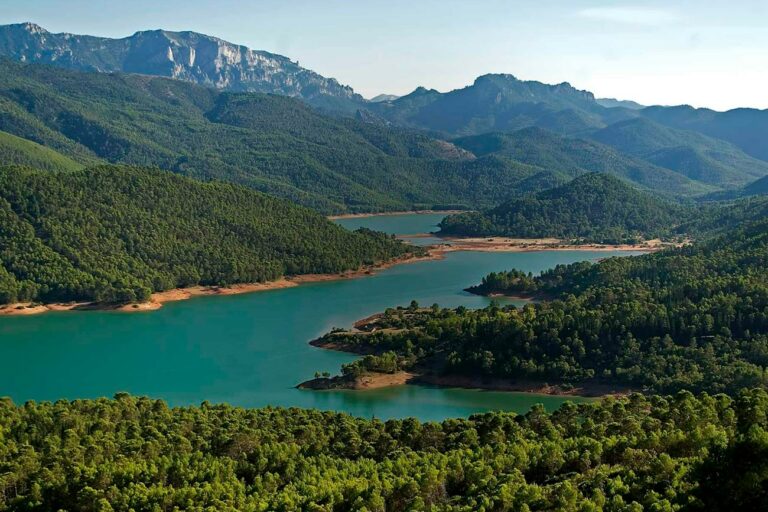 imagen de cabecera casos de &eacute;xito sierra de cazorla