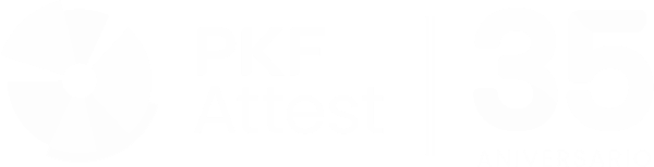 PKF Attest Tecnologia