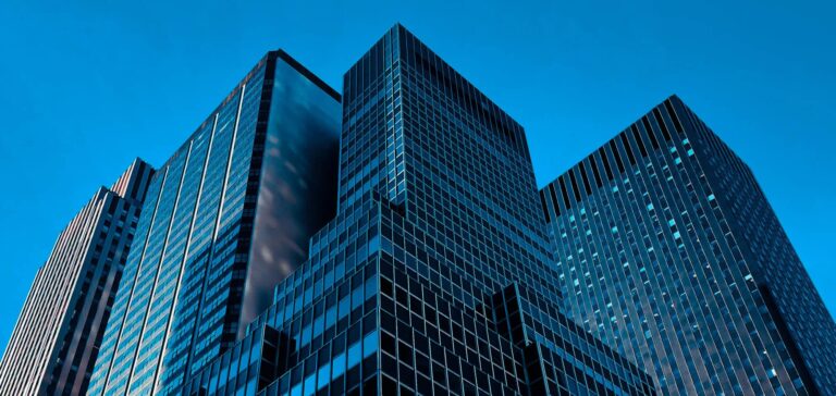 legal advice to companies and institutions
