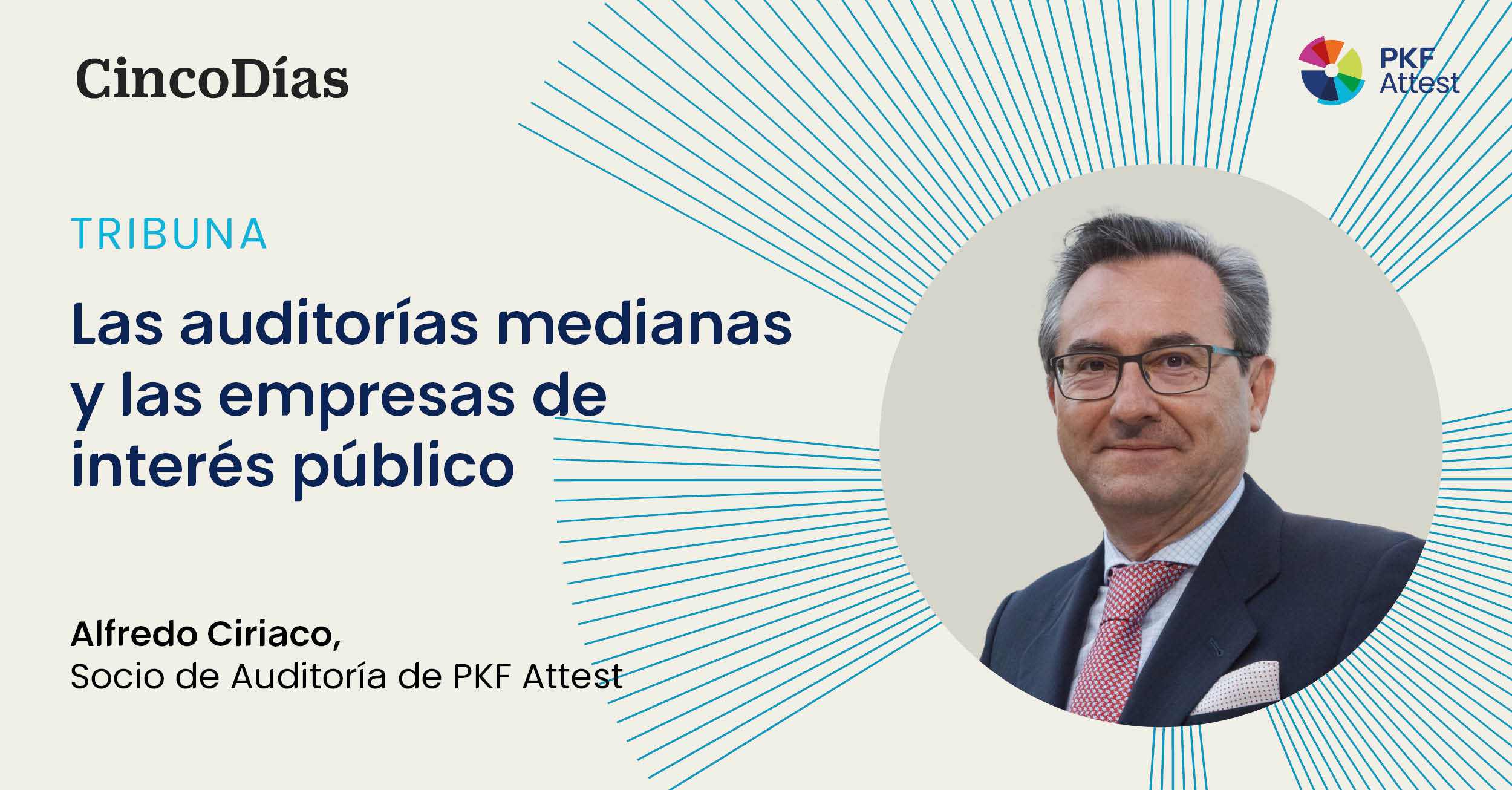 "Las auditorías medianas y las empresas de interés público", article by Alfredo Ciriaco in Cinco Días.