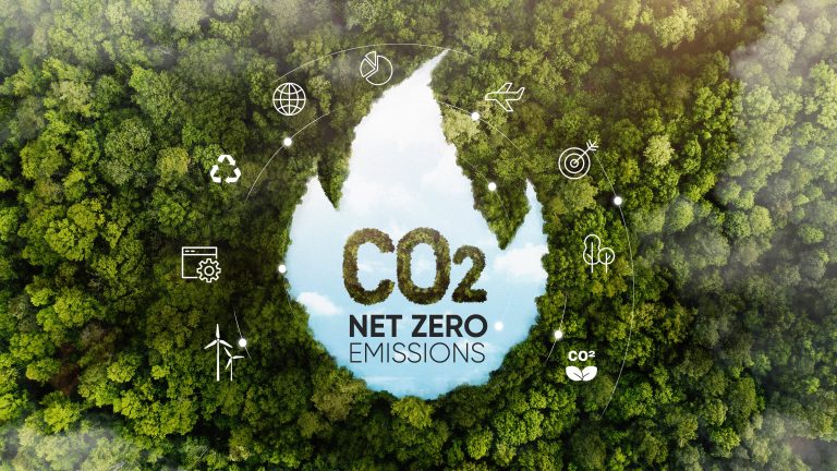We help you calculate your company's carbon footprint