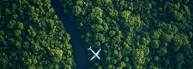 ESG Consulting, Environment 