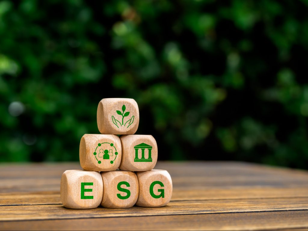 ESG in the company.