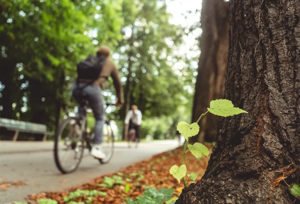 Sustainable Mobility Act Park